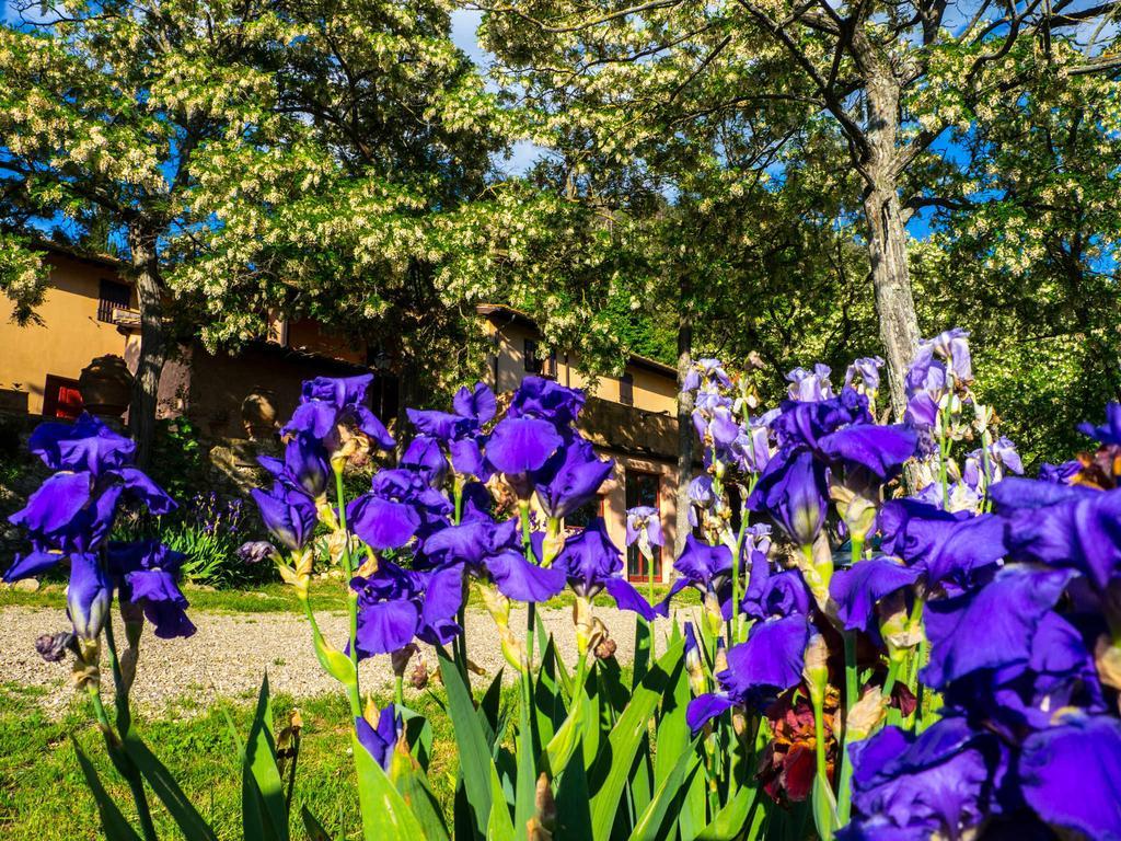 Agriturismo Verde Oliva Bagno a Ripoli Eksteriør bilde